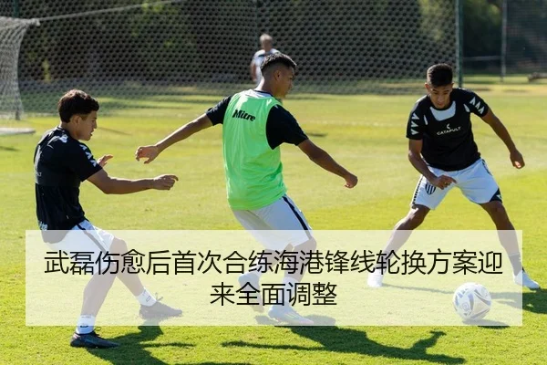 武磊伤愈后首次合练海港锋线轮换方案迎来全面调整